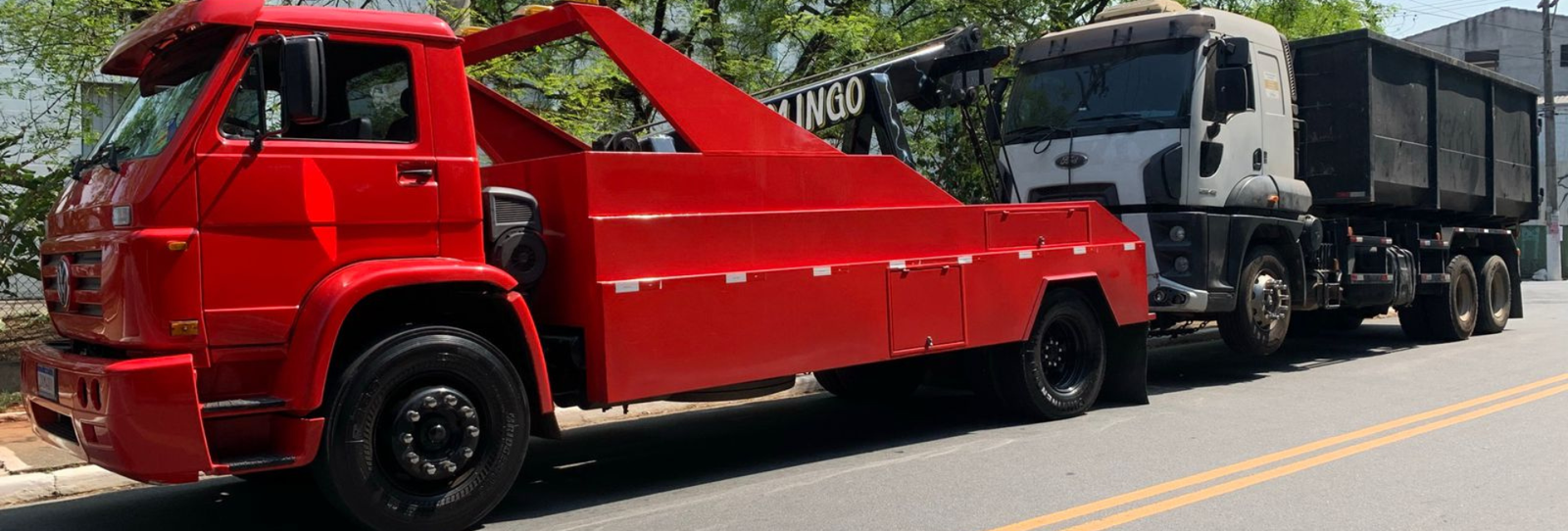 Guincho no Parque Novo Mundo