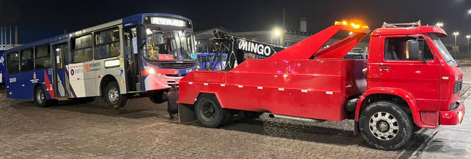 Guincho no Parque Cecap